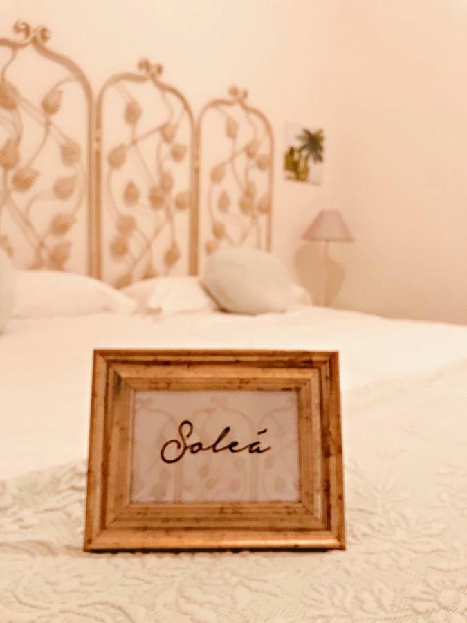 Casa Buleria Hotel Херес де ла Фронтера Екстериор снимка